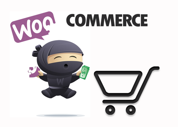 Wordpress Ecommerce